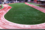 artificial-grass-agility-track-turf-2
