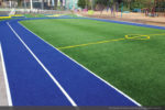artificial-grass-agility-track-turf-4