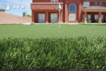 artificial-putting-green-synthetic-grass-7
