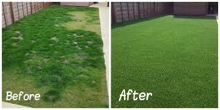 Artificial Grass and Dogs