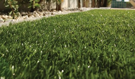 artificial grass melbourne home