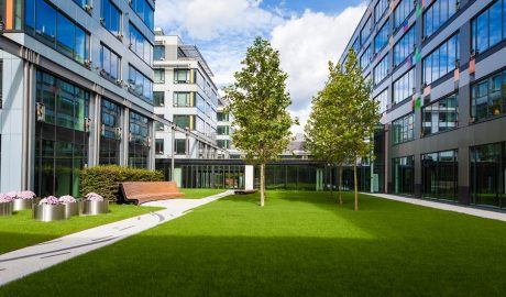 artificial lawn at modern office