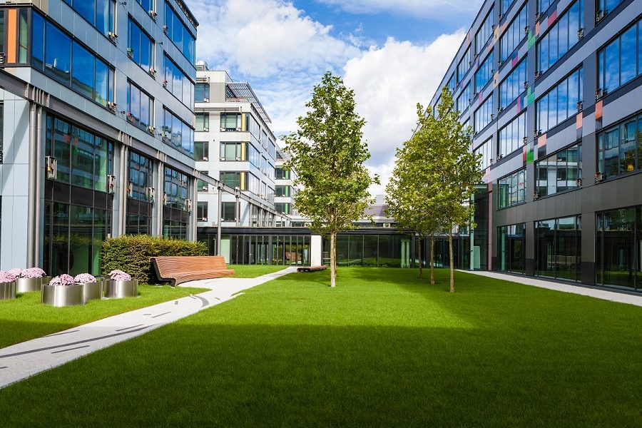artificial lawn at modern office