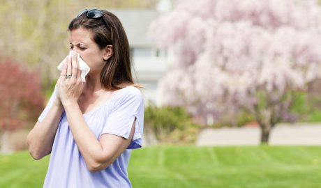 artificial grass for hay fever sufferers