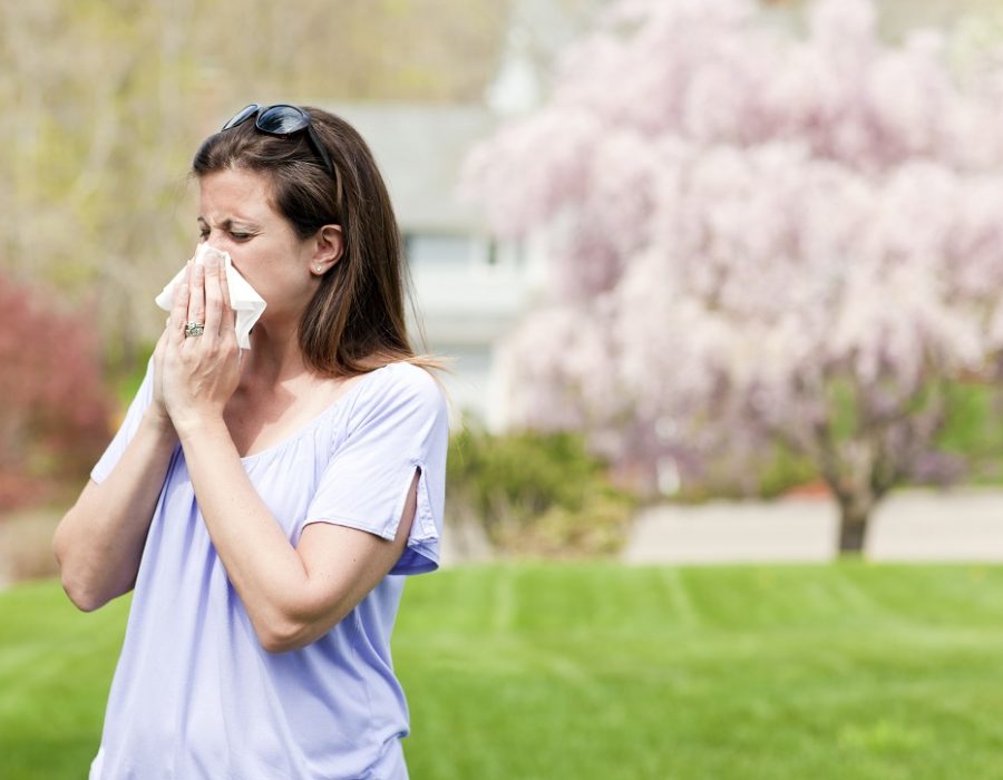 artificial grass for hay fever sufferers