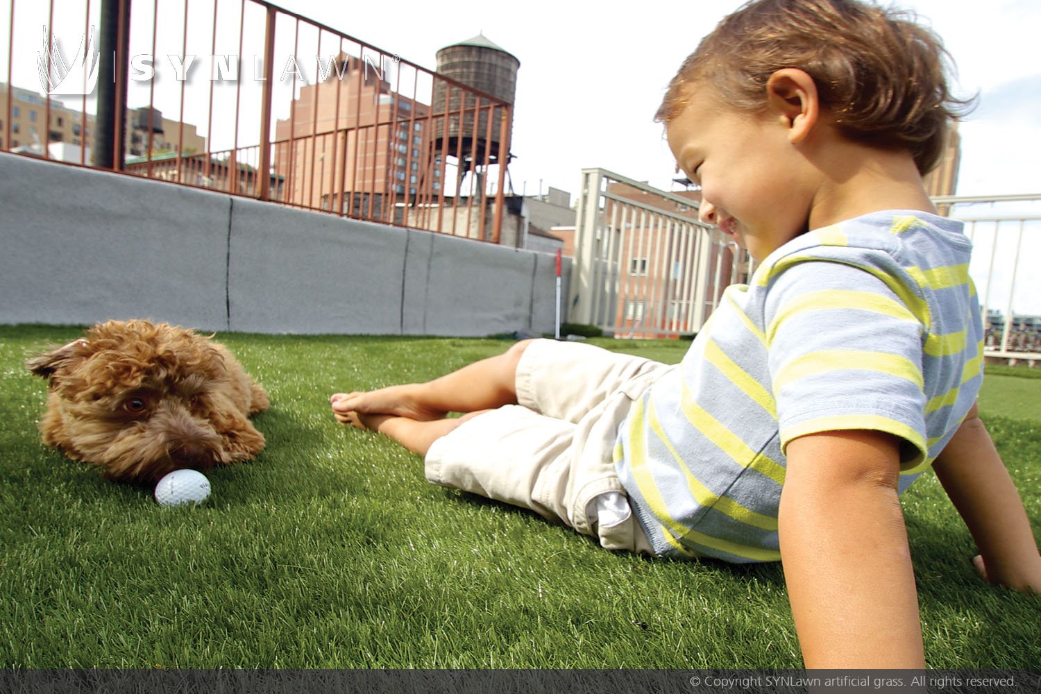 5 Easy Tips To Caring For Your Artificial Grass