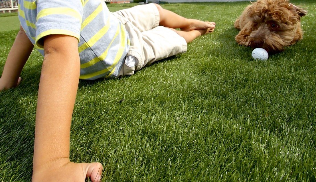 Nylon feel balcony turf