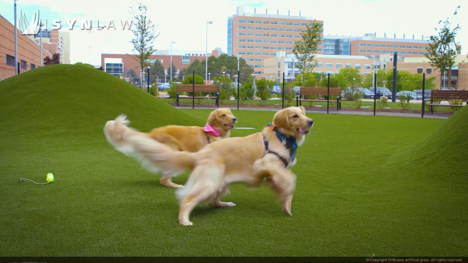 image of SYNLawn Pet Premium artificial grass at the Children's Hospital Colorado Canine Respite Dog Park Denver