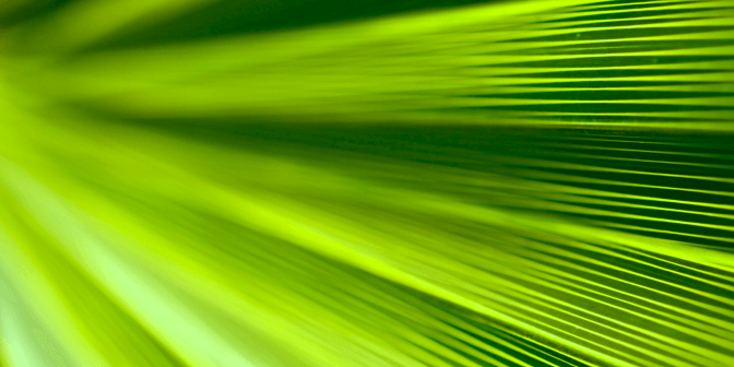 Trionic Plus graphic