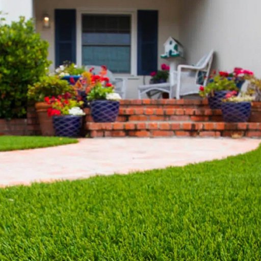 image of front yard walkway with synlawn turf