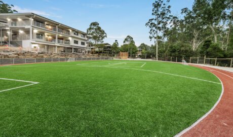 Lawn Alternatives for High-Traffic Areas