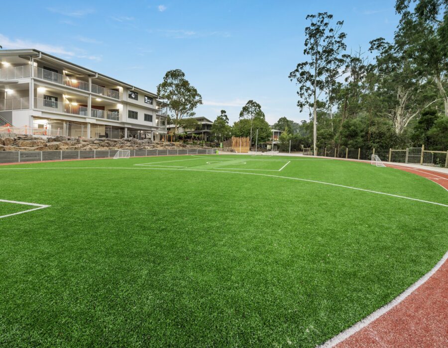 Lawn Alternatives for High-Traffic Areas