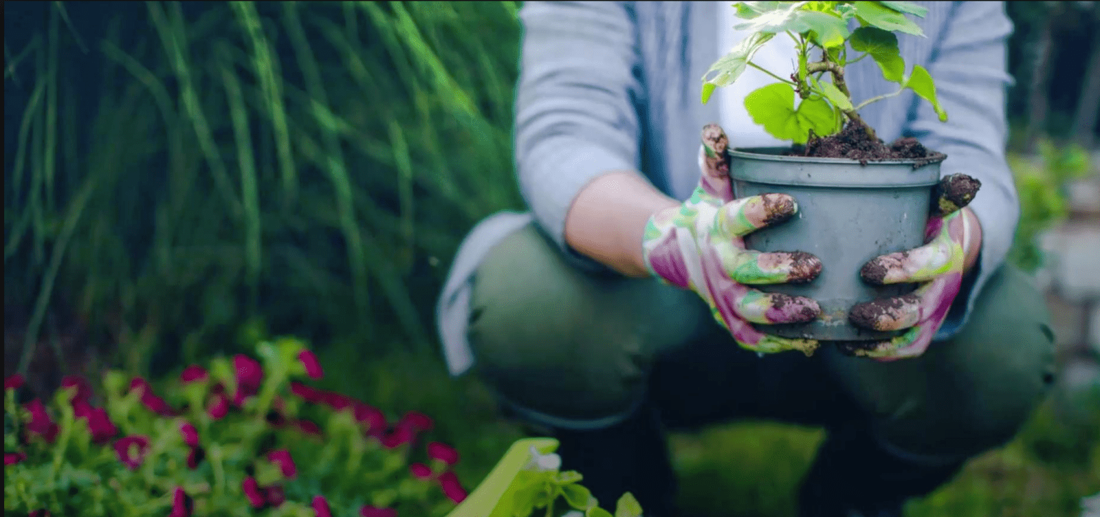 5 things a novice gardener should know